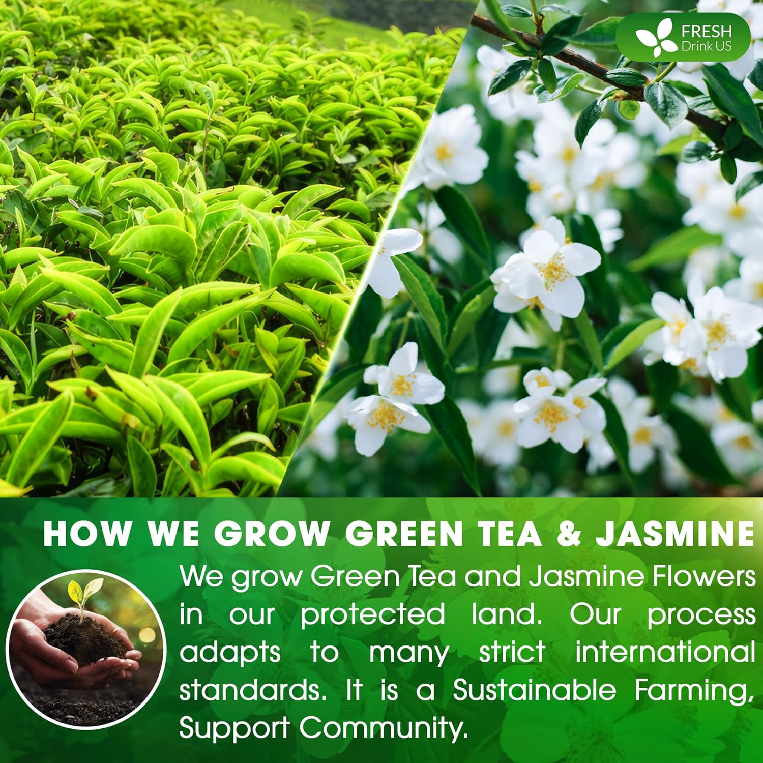 Premium Jasmine Green Tea Bags. Jasmine Green Herbal Tea. Made with Natural Material Tea Bags. No Sugar, No Gluten, Vegan. | Tea | Wiccan Center