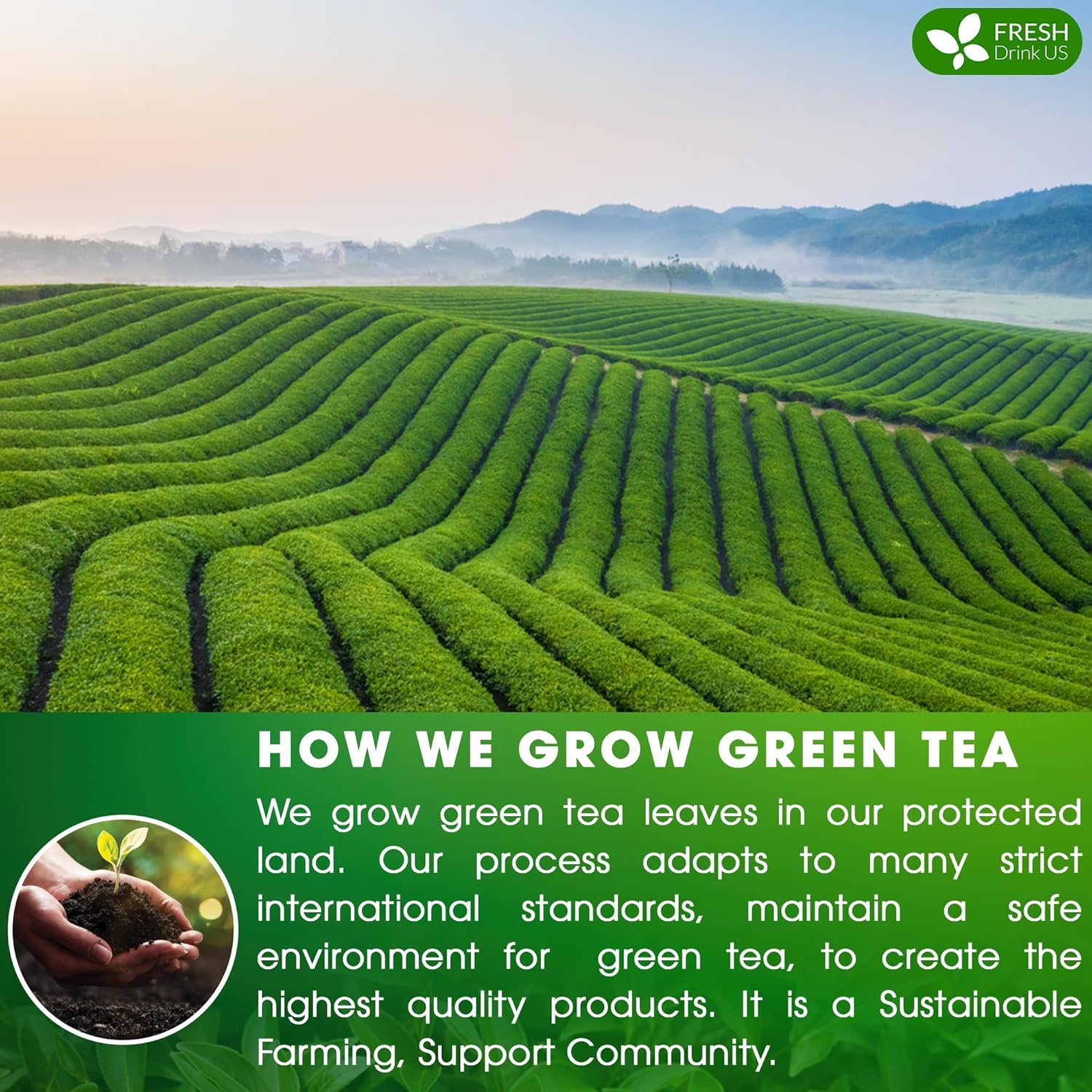 Premium Green Tea Bags, 100% Natural & Pure from Green Tea. Green Herbal Tea. No Sugar, No Gluten, Vegan | Tea | Wiccan Center