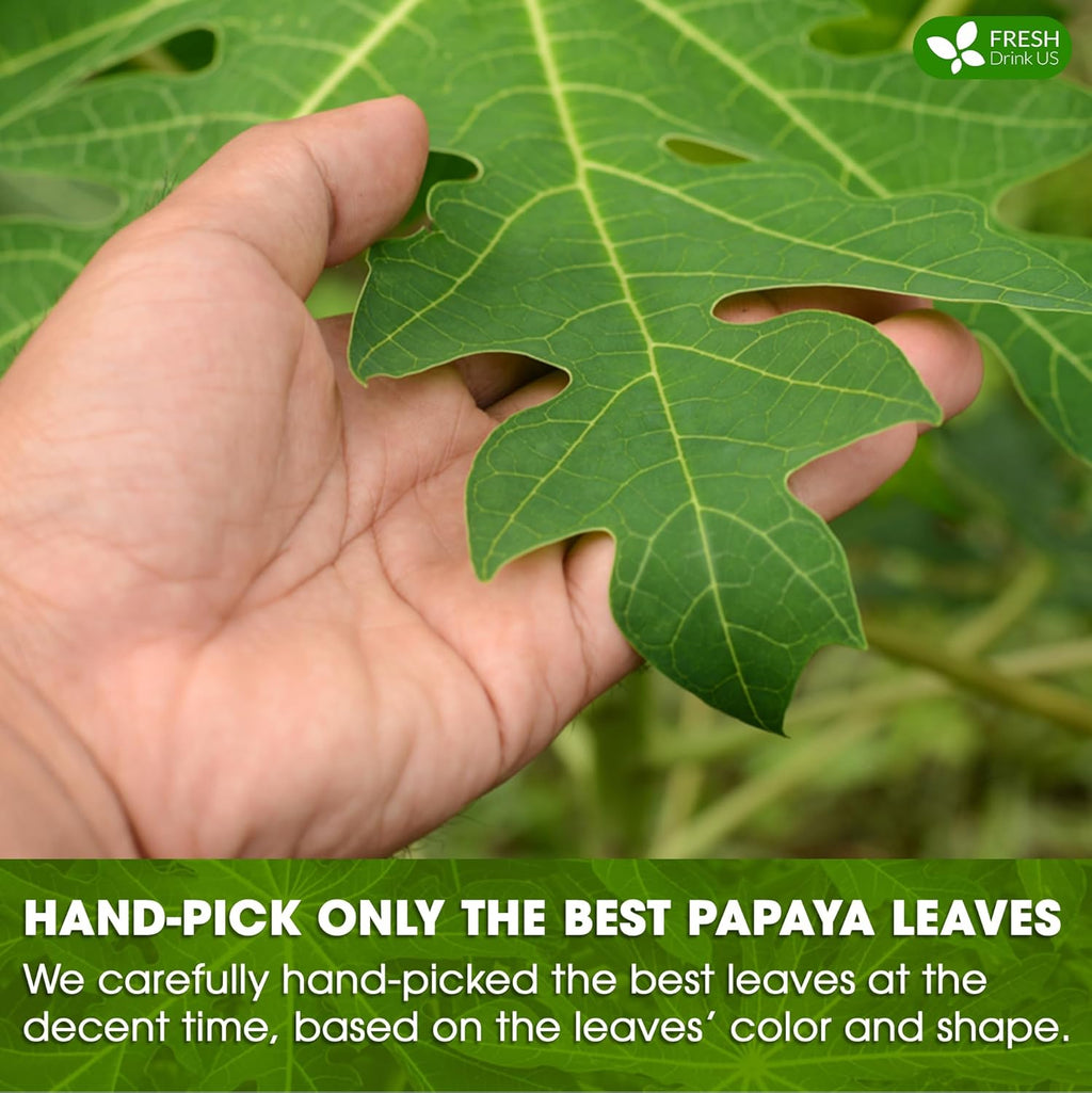 Premium Papaya Dried Leaves, Papaya Loose Leaf Herbal Tea, No Additives, No Caffeine, Vegan | Tea | Wiccan Center