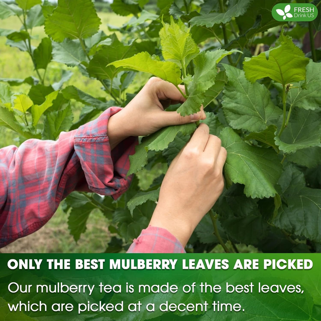 Premium Mulberry Leaf Tea Bags. No Sugar, No Caffeine, No Gluten, Vegan. | Tea | Wiccan Center