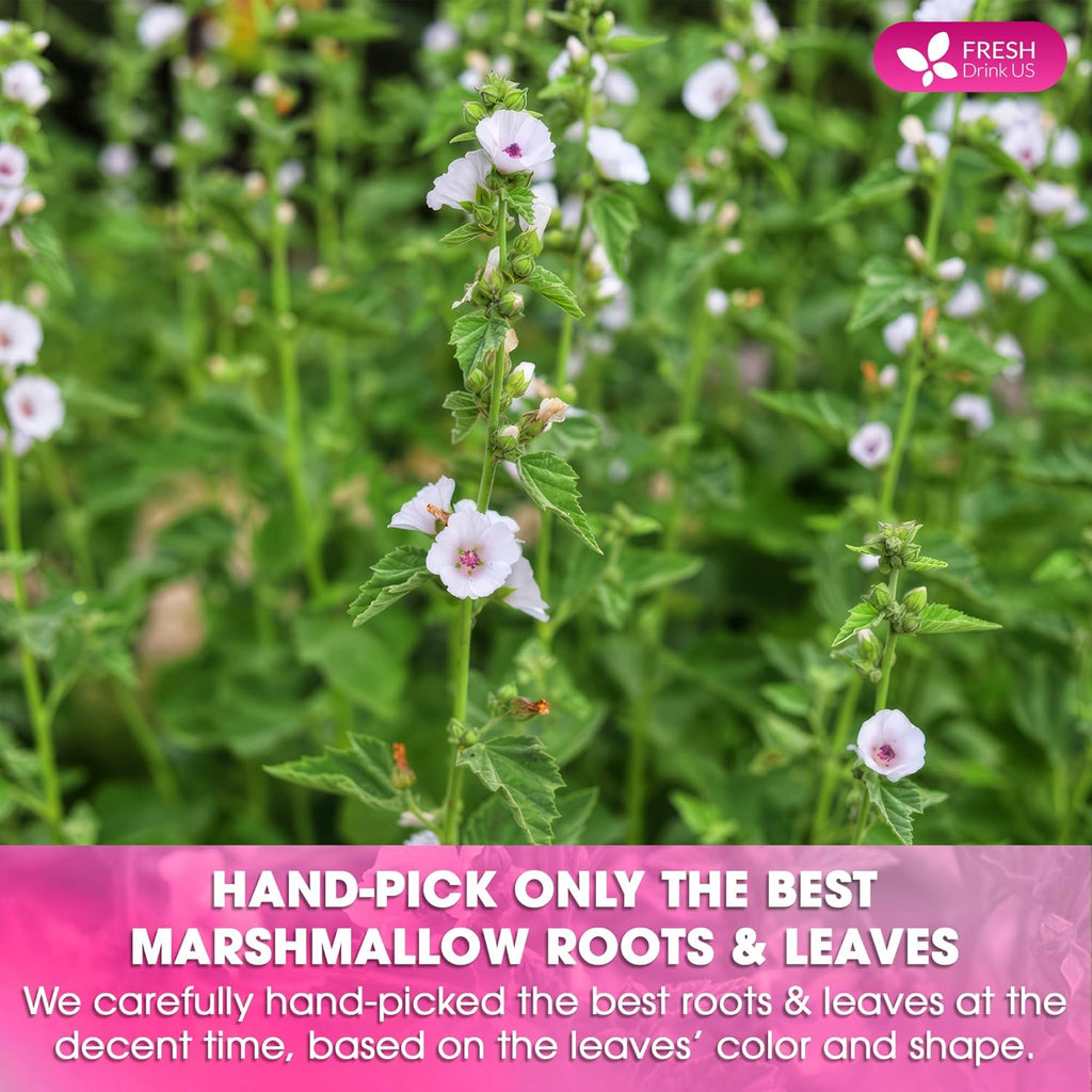 Premium Marshmallow Root and Leaf Tea Bags, 100% Natural & Pure. | Tea | Wiccan Center