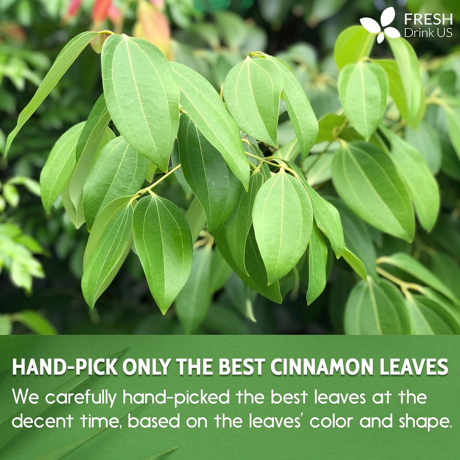 Cinnamon Leaves | Tea | Wiccan Center
