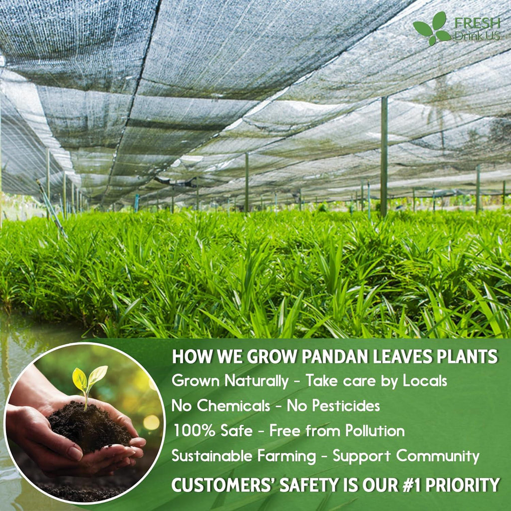 Natural Pandan Leaves Dried, Pandan Leaf Powder, 100% Pure Dried Pandan Leaves, Pandan Leaf Tea, No Additives, No Caffeine, Vegan | Tea | Wiccan Center