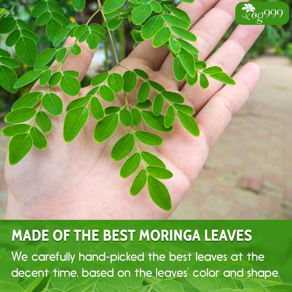 Premium Moringa Leaf Powder, 100% Natural and Pure from Moringa Leaves, No Additives, No Gluten, No Sugar, Vegan | Tea | Wiccan Center