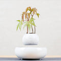 Magnetic Levitation Potted Plants | 0 | Wiccan Center