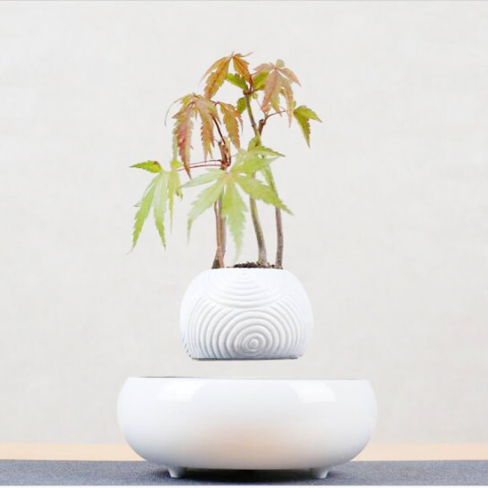 Magnetic Levitation Potted Plants | 0 | Wiccan Center