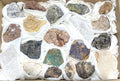 Morocco Mixed Minerals Crystal Druzy Collection Large Boxed Flat Wholesale | Home & Living > Home Decor > Home Accents > Rocks & Geodes | Wiccan Center
