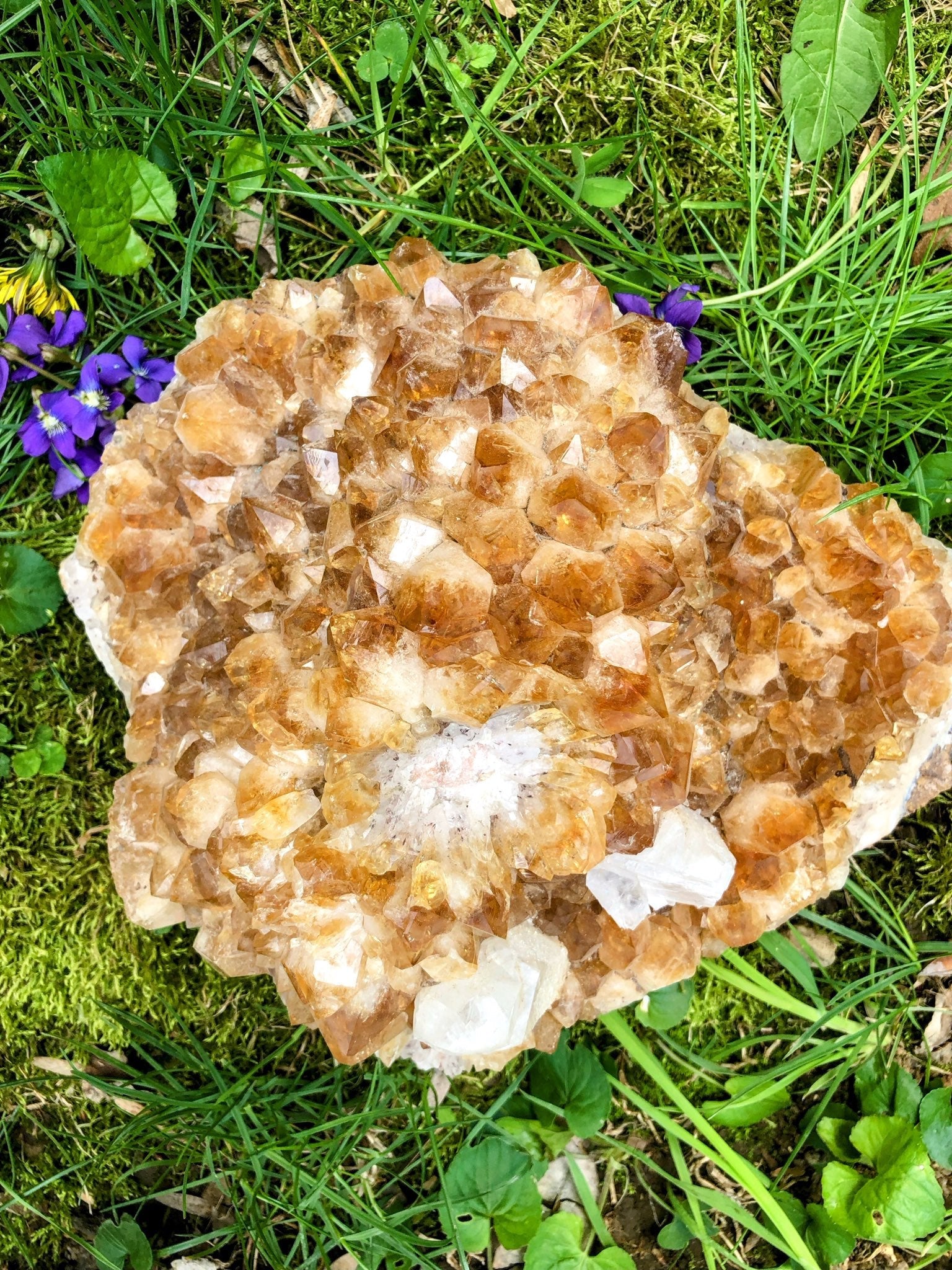 Citrine Cluster | | Wiccan Center