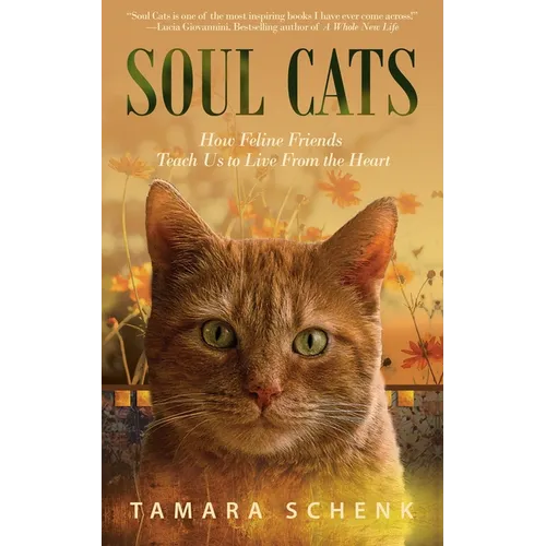 Soul Cats: How Our Feline Friends Teach Us to Live from the Heart - Paperback | Books | Wiccan Center