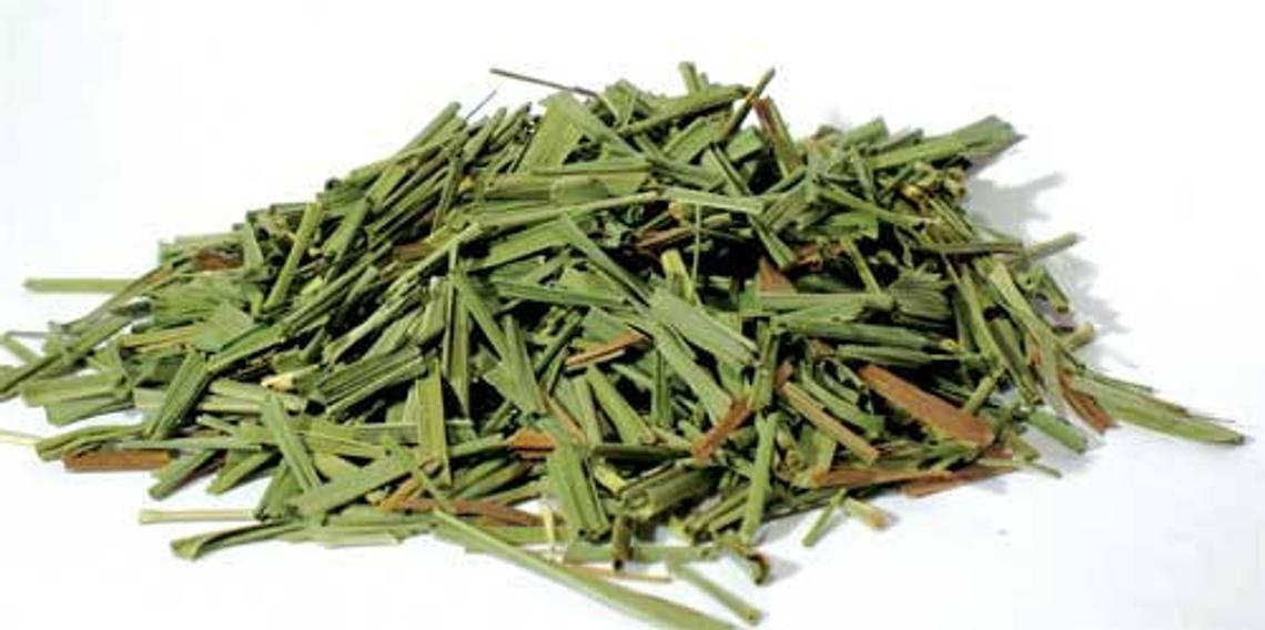 Lemongrass - Cut (1 oz) | Herbs | Wiccan Center