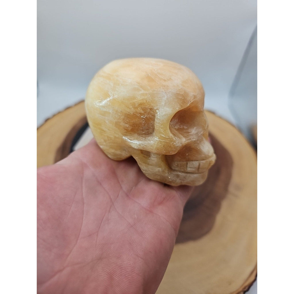 0.89 lb Jasper Jade Agate Crystal Skull – Madagascar