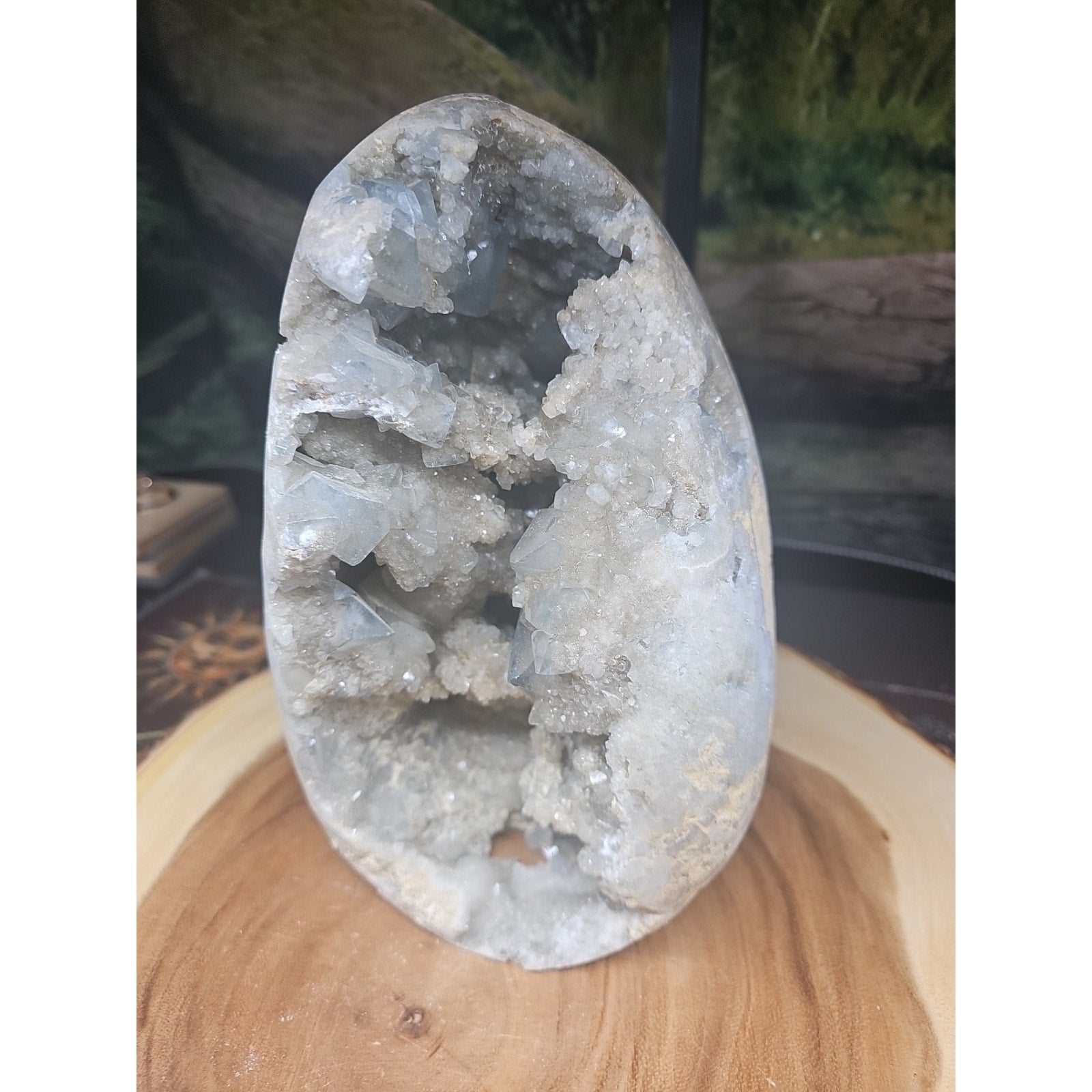 Large Baby Blue Celestite Geode Cluster — 13.6 lbs, 8 inches, Brazil | CrystalCloud Company | Geodes & Clusters | Wiccan Center