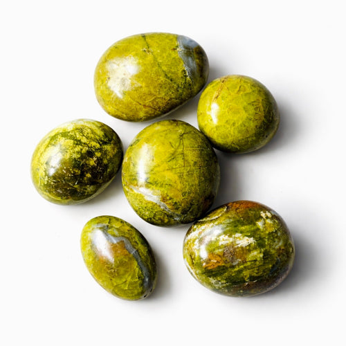 5 lb Green Opal Palm Stone Bulk Lot – Handpicked Polished Stones | | Wiccan Center