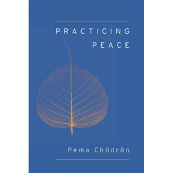 Practicing Peace - Paperback | Books | Wiccan Center