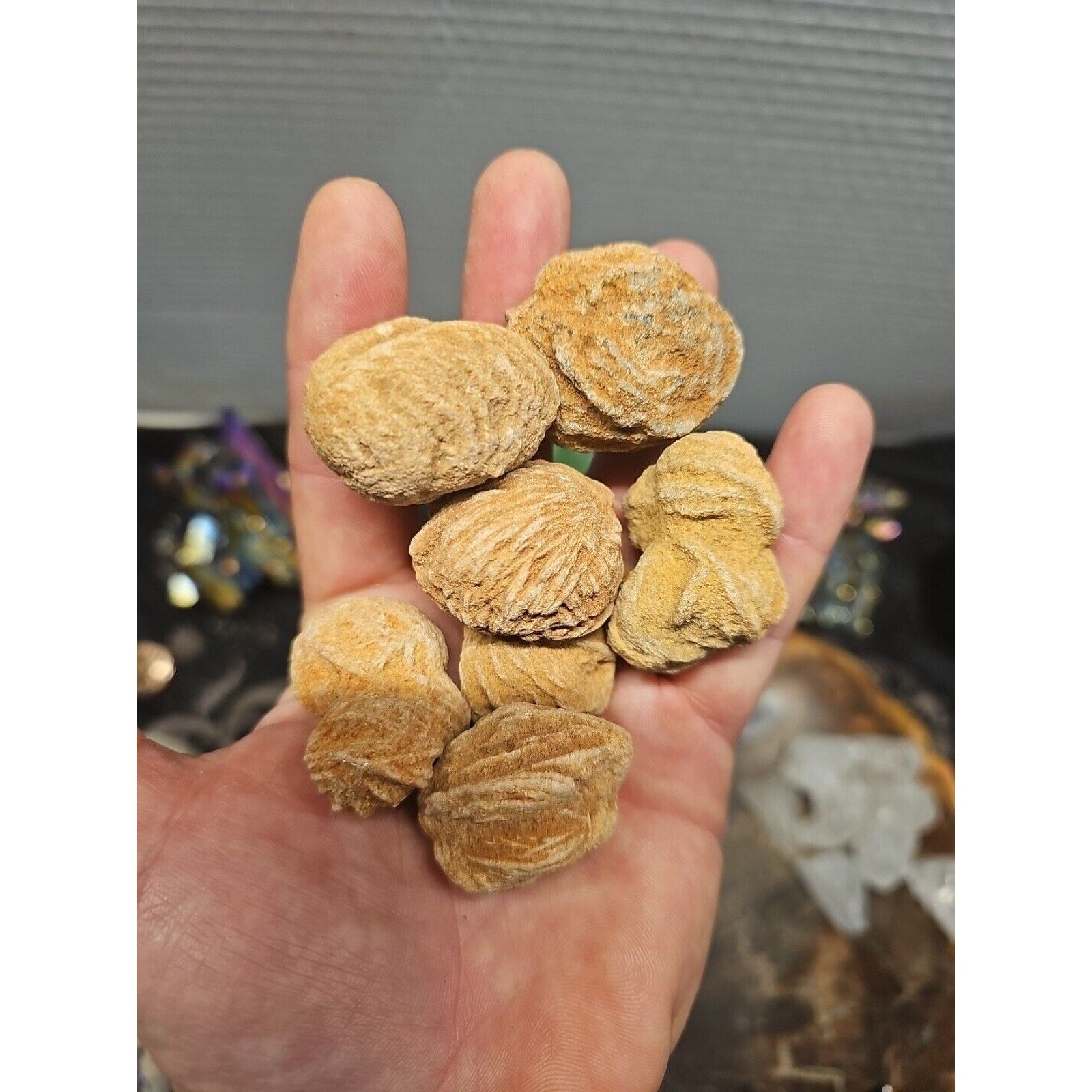 Desert Rose Selenite Mineral Specimen — Clarity & Stress Relief Crystal | CrystalCloud Company