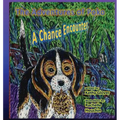 The Adventures of Poko - A Chance Encounter - Paperback | Books | Wiccan Center