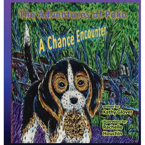 The Adventures of Poko - A Chance Encounter - Paperback | Books | Wiccan Center