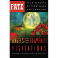 Angels and Heavenly Visitations - Paperback | Books | Wiccan Center