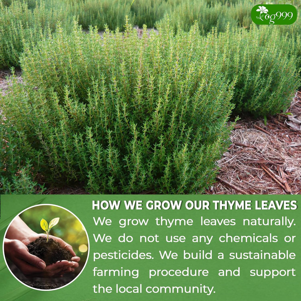 Premium 40 Thyme Leaf Tea Bags, 100% Natural & Pure, Loose Leaf Herbal Tea. | Tea | Wiccan Center