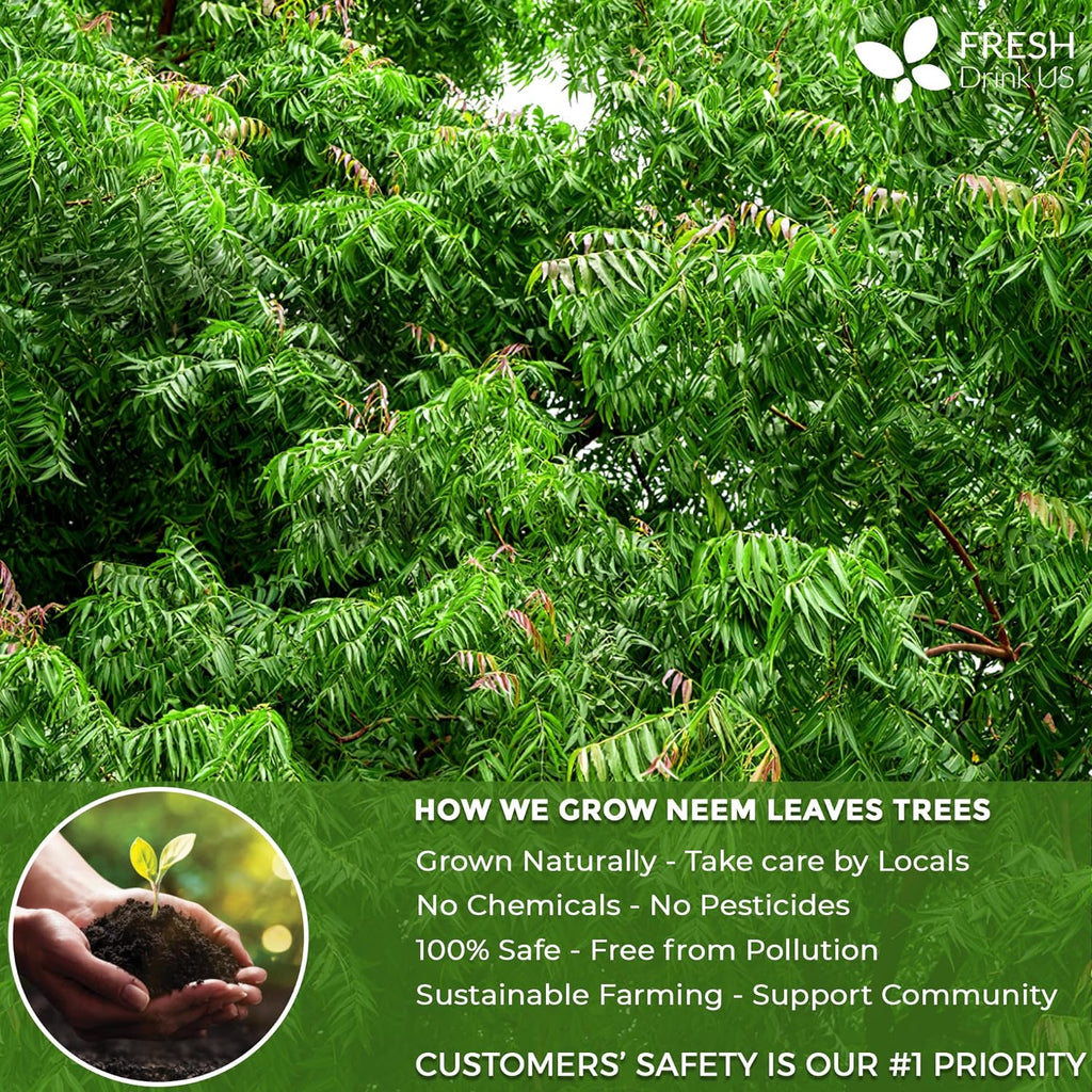 Neem Leaf Tea Bags, 100% Natural and Pure from Neem Leaves. Loose Leaf Neem Herbal Tea. Neem Leaf Tea. No Sugar, No Caffeine, No Gluten, Vegan. | Tea | Wiccan Center