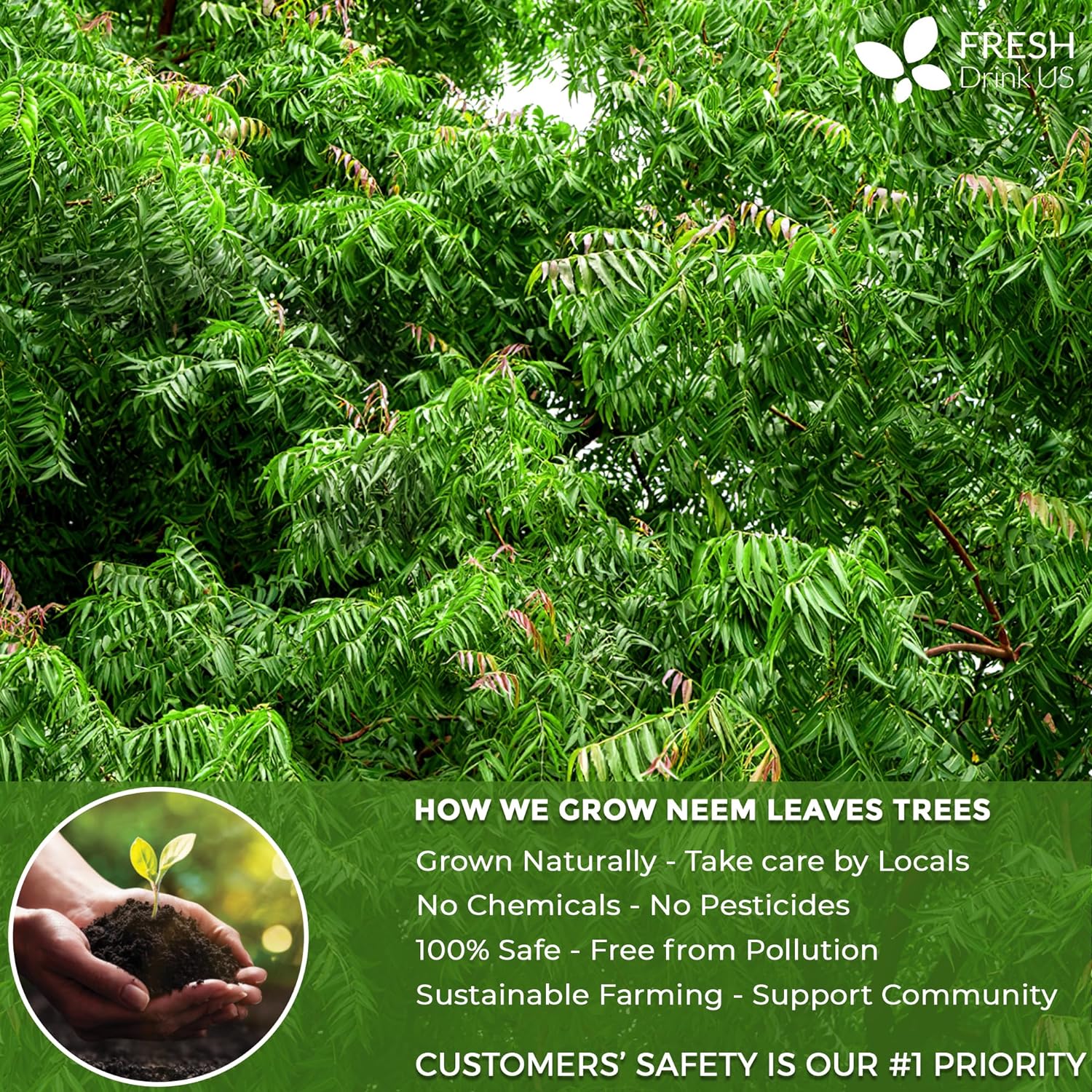 Neem Leaf Tea Bags, 100% Natural and Pure from Neem Leaves. Loose Leaf Neem Herbal Tea. Neem Leaf Tea. No Sugar, No Caffeine, No Gluten, Vegan. | Tea | Wiccan Center