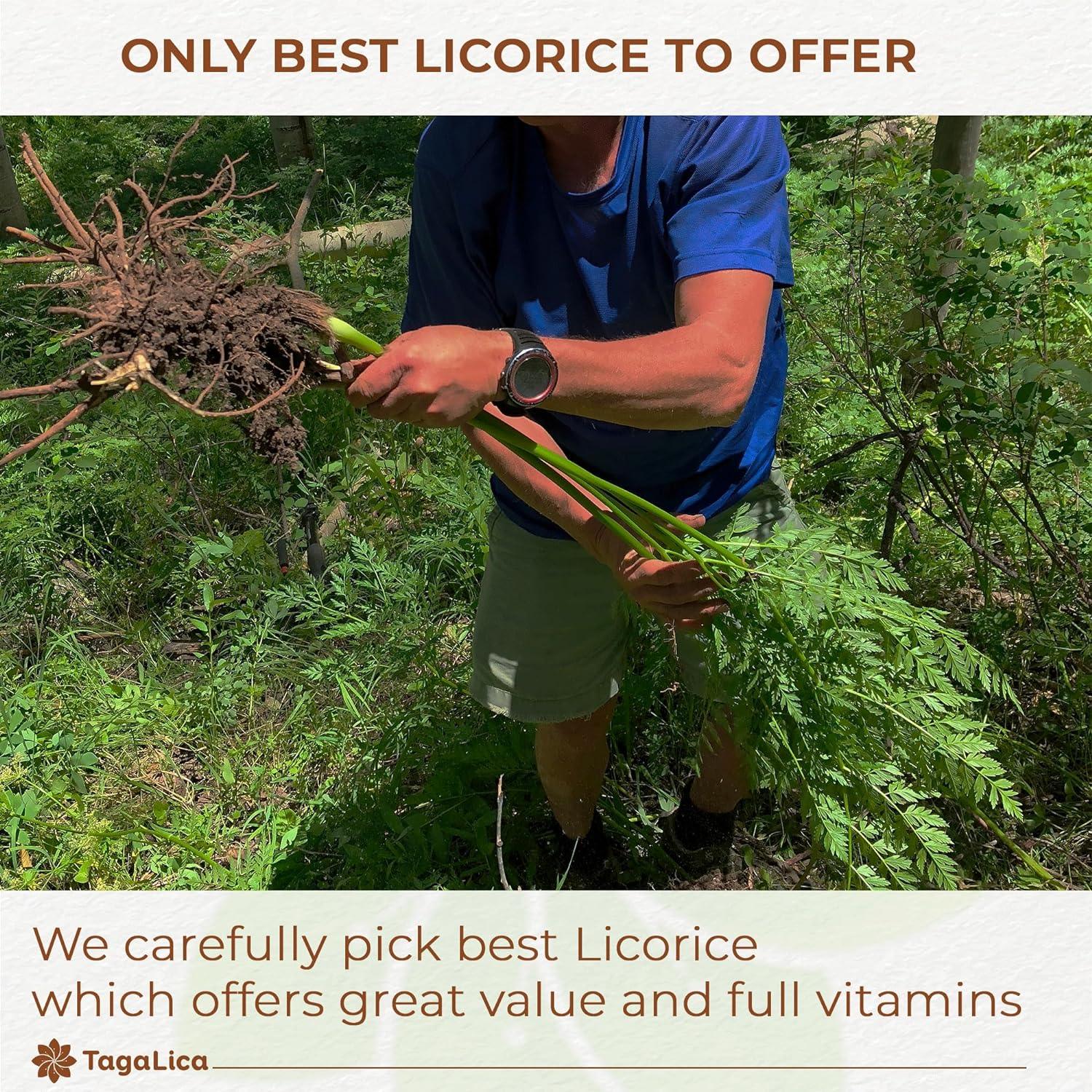 Premium Licorice Root Tea Bags, 100% Natural, Pure Licorice Root, Eco-Conscious Tea Bags, Licorice Root Herbal Tea, Licorice Root Tea. No Sugar, No Caffeine, No Gluten, Vegan | Tea | Wiccan Center