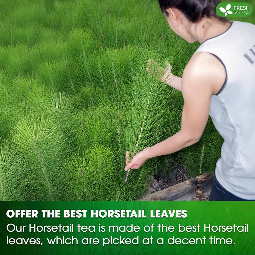 Premium Horsetail Leaf Tea Bags – Herbal Tea for Daily Wellness, Beauty Routine & Caffeine-Free Refreshment | Tea | Wiccan Center
