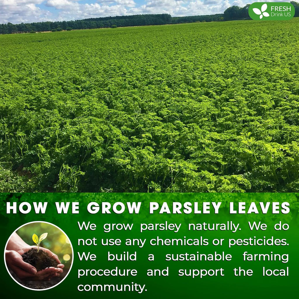 Premium Parsley Leaf Tea Bags, 100% Natural & Pure from Parsley Leaves. | | Wiccan Center