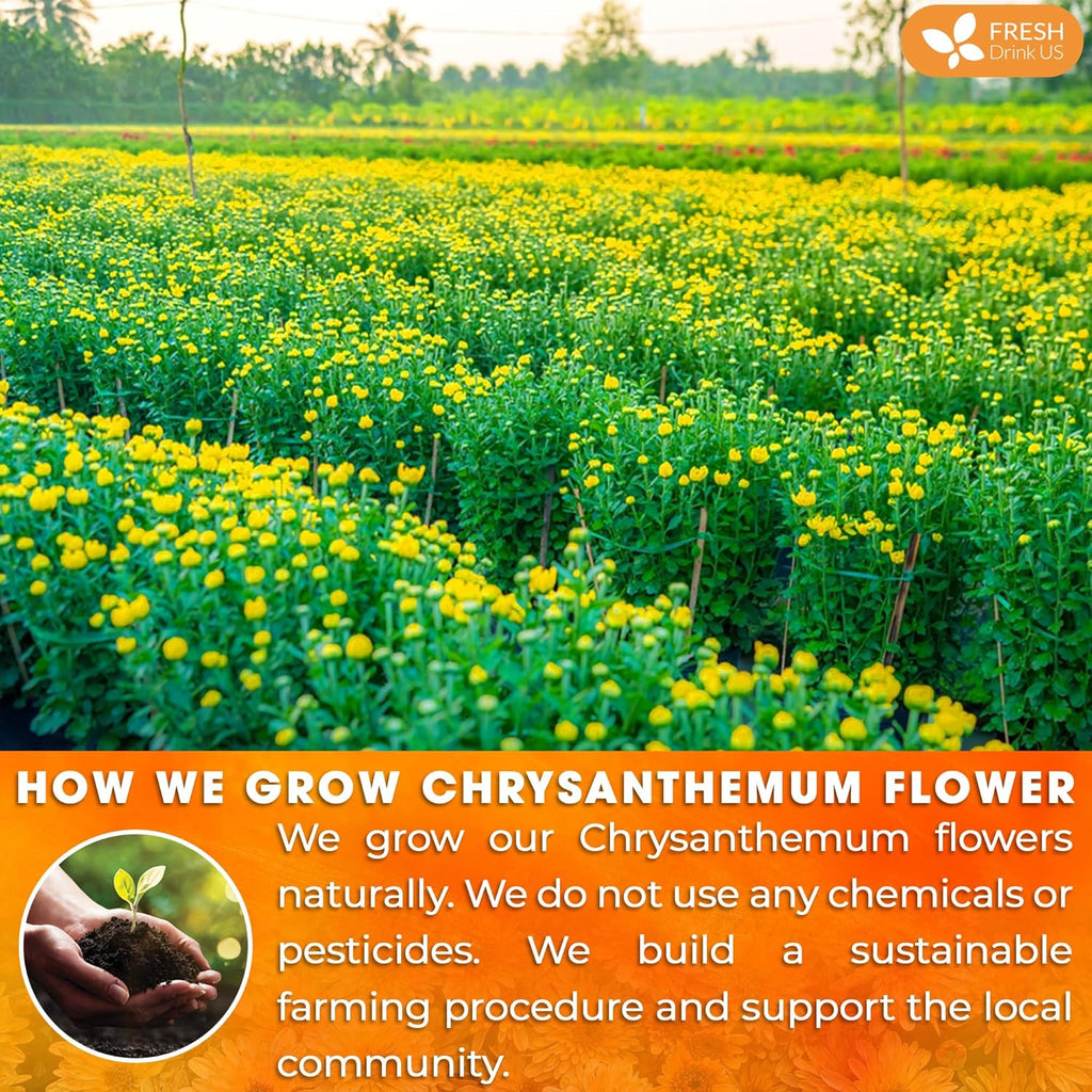 Premium Chrysanthemum Flowers, Chrysanthemum Herbal Tea, No Additives, No Caffeine, Vegan | Tea | Wiccan Center