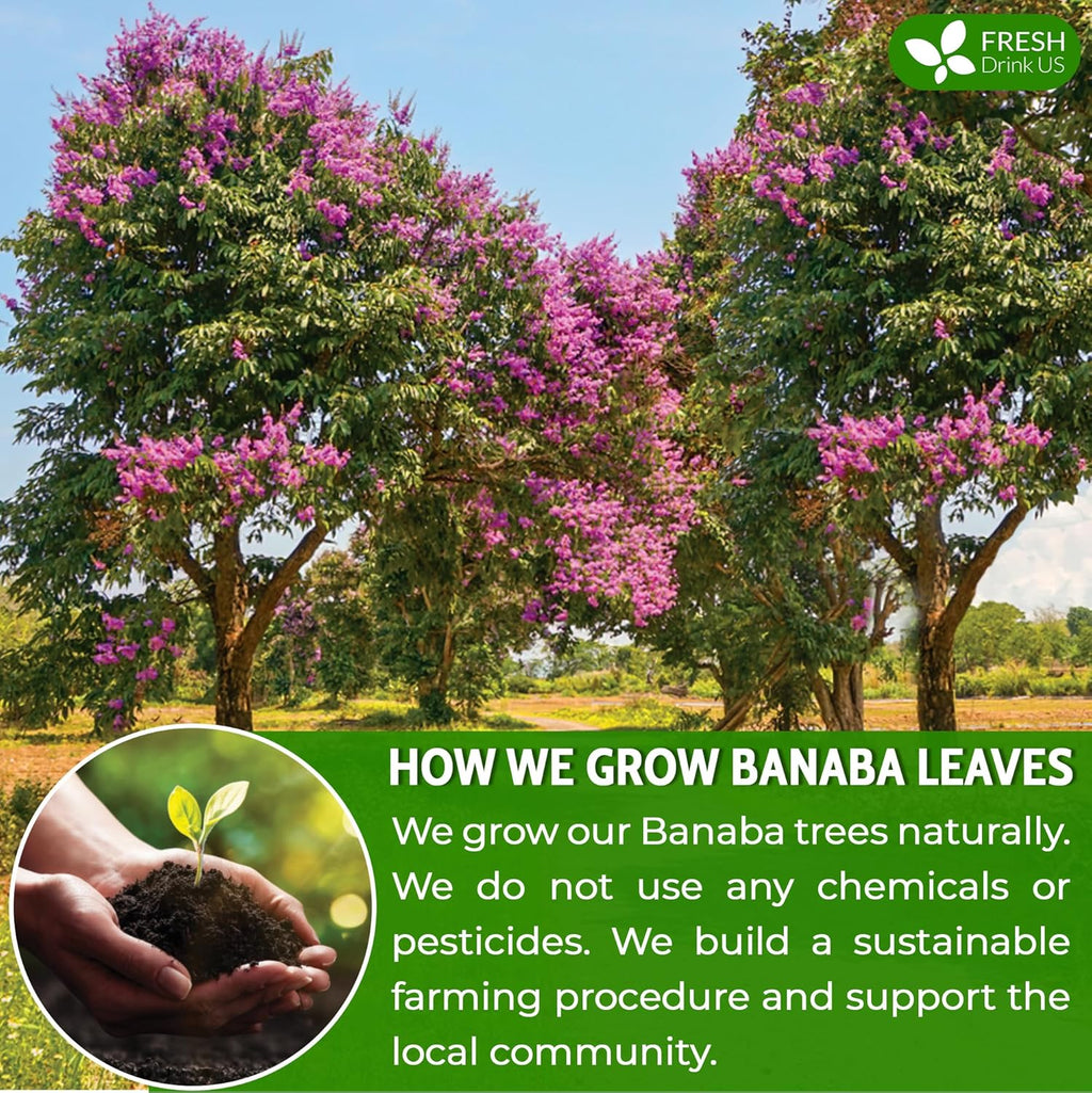 Premium Banaba Dried Leaves | Tea | Wiccan Center