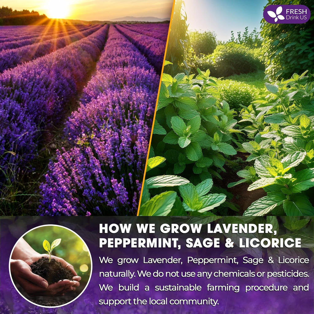 Premium Lavender Mint Tea Bags. 100% Natural, Blend of Lavender, Peppermint, Sage and Licorice. | Tea | Wiccan Center