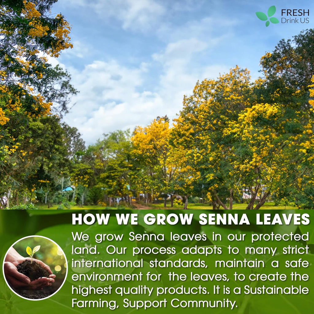 Premium Senna Leaf Tea Bags, 100% Natural & Pure from Senna Leaves. Loose Leaf Senna Herbal Tea, Made with Natural Material Tea Bags, Senna Leaf Tea. No Sugar, No Caffeine, No Gluten, Vegan. | Tea | Wiccan Center