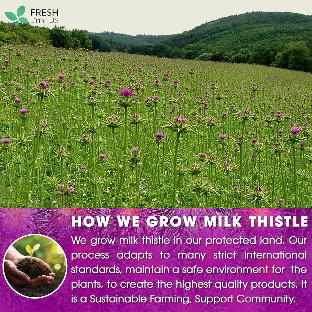 Premium Milk Thistle Tea Bags, 100% Natural & Pure from Milk Thistle Seeds. Milk Thistle Seed Herbal Tea. Milk Thistle Seed Tea. Made with Natural Material Tea Bags. No Sugar, No Caffeine, No Gluten, Vegan. | Tea | Wiccan Center