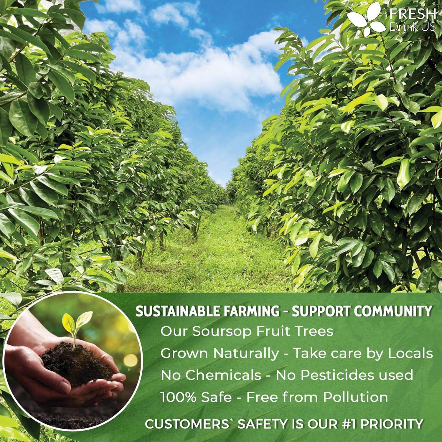 Premium Soursop Graviola Fruit Tea Bags, Tea Powder, 100% Natural and Pure from Soursop Fruits, Handmade, Made With Natural Materials-Corn Fiber Tea Bag, Sugar/Caffeine/Gluten Free, Hoja Guanabana Tea | Tea | Wiccan Center