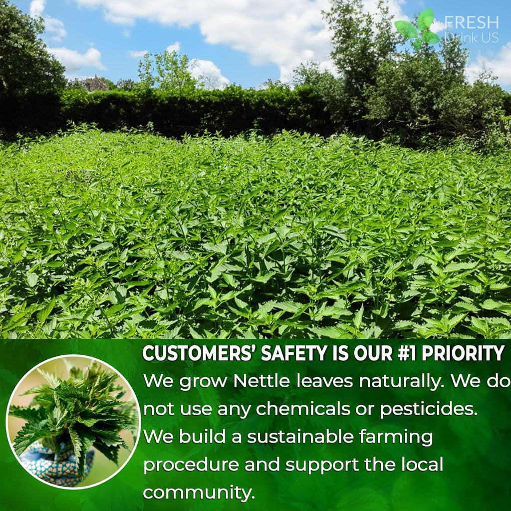 Premium Nettle Leaf Tea Bags, 100% Natural & Pure, Stinging Nettle Leaf Tea, Nettle Leaf Tea, Burn Nettle, Stinging Nettle, Nettle Tea, Stinger Tea, No Sugar/Caffeine & Gluten, Vegan | Tea | Wiccan Center