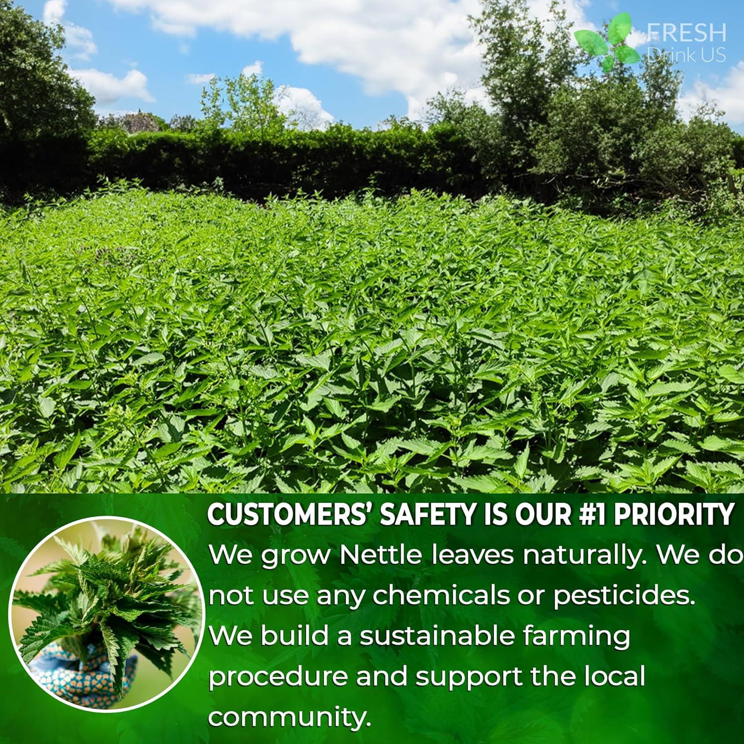 Premium Nettle Leaf Tea Bags, 100% Natural & Pure, Stinging Nettle Leaf Tea, Nettle Leaf Tea, Burn Nettle, Stinging Nettle, Nettle Tea, Stinger Tea, No Sugar/Caffeine & Gluten, Vegan | Tea | Wiccan Center