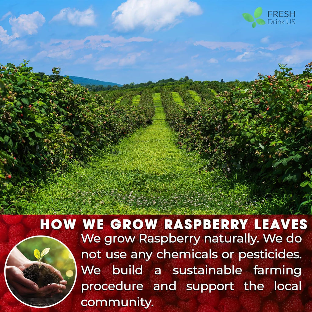 Raspberry Leaf Tea Bags, 100% Natural & Pure from Raspberry Leaves. Loose Leaf Raspberry Herbal Tea, Made with Natural Material Tea Bags, Raspberry Leaf Tea. No Sugar, No Caffeine, No Gluten, Vegan. | Tea | Wiccan Center