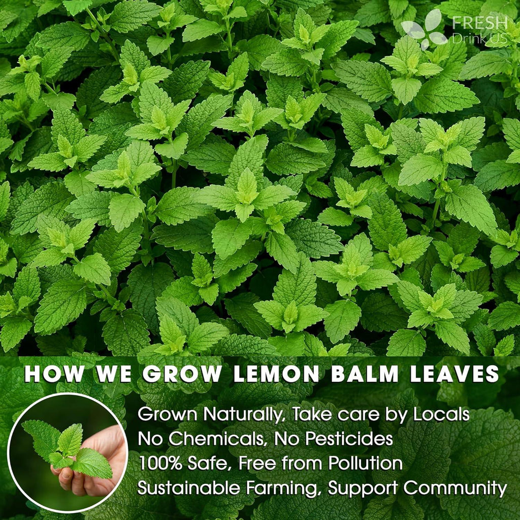 Premium Lemon Balm Leaf Tea Bags, 100% Natural & Pure from Lemon Balm Leaves. Loose Leaf Lemon Balm Herbal Tea. Lemon Balm Leaf Tea. No Sugar, No Caffeine, No Gluten, Vegan. | Tea | Wiccan Center