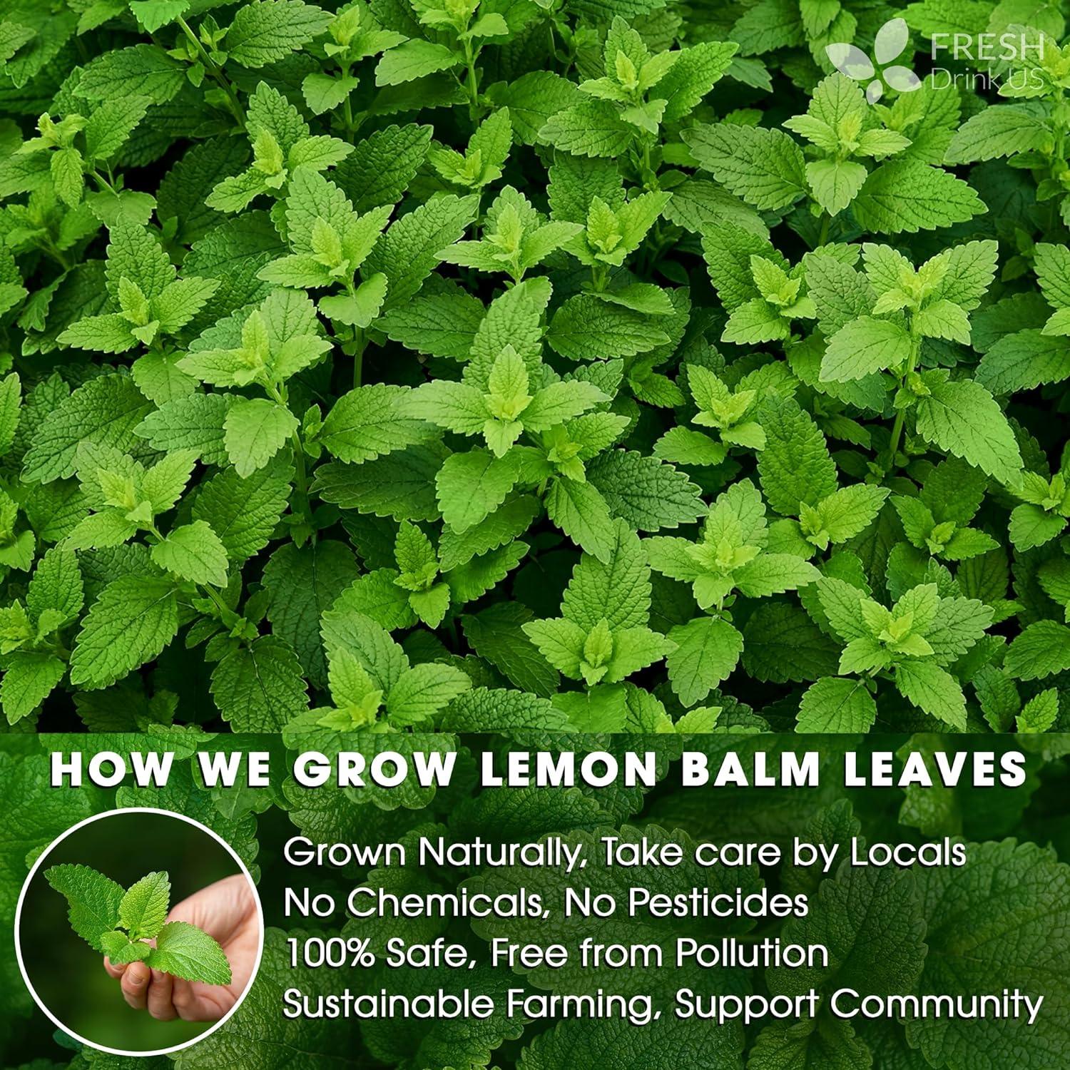 Premium Lemon Balm Leaf Tea Bags, 100% Natural & Pure from Lemon Balm Leaves. Loose Leaf Lemon Balm Herbal Tea. Lemon Balm Leaf Tea. No Sugar, No Caffeine, No Gluten, Vegan. | Tea | Wiccan Center