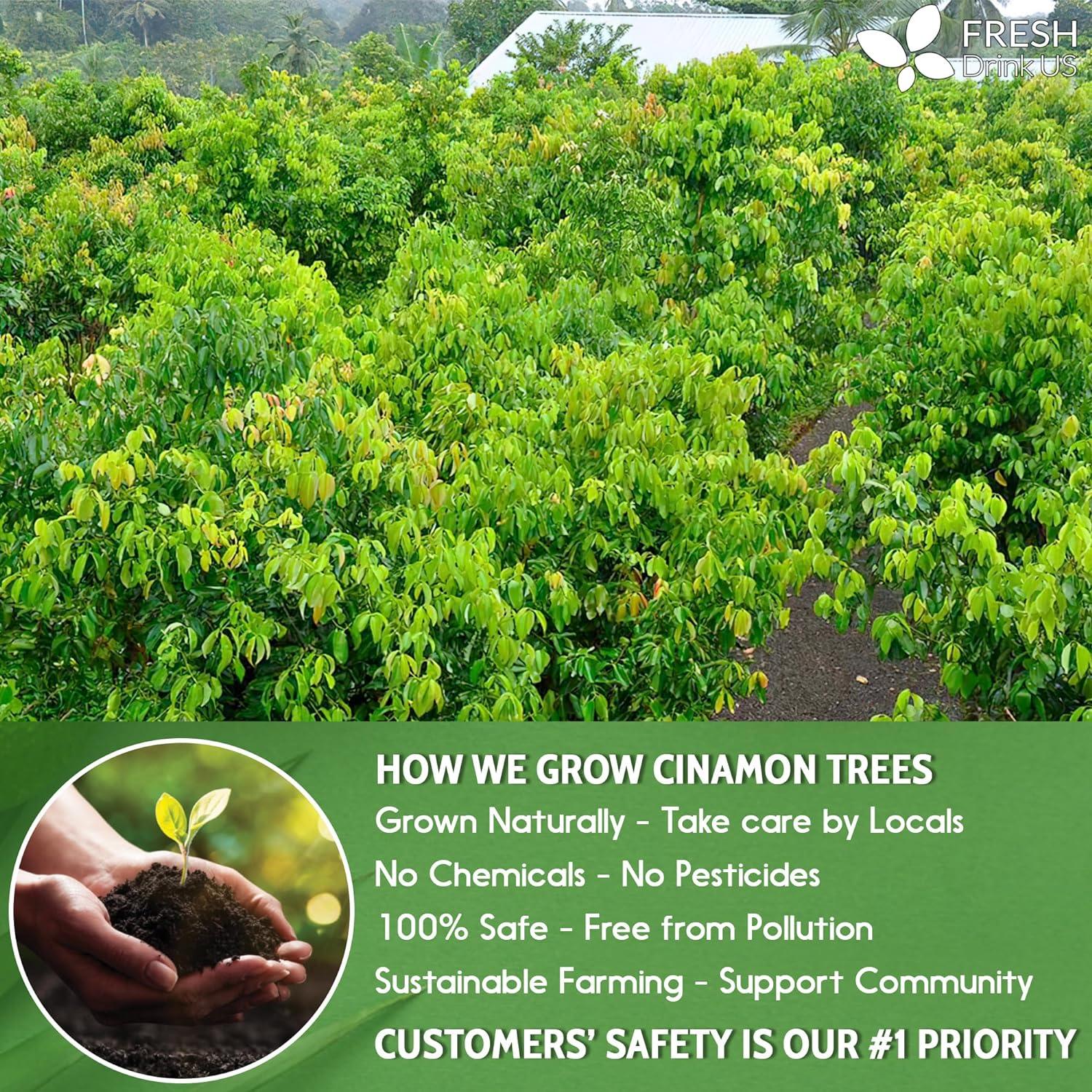 Cinnamon Leaves | Tea | Wiccan Center