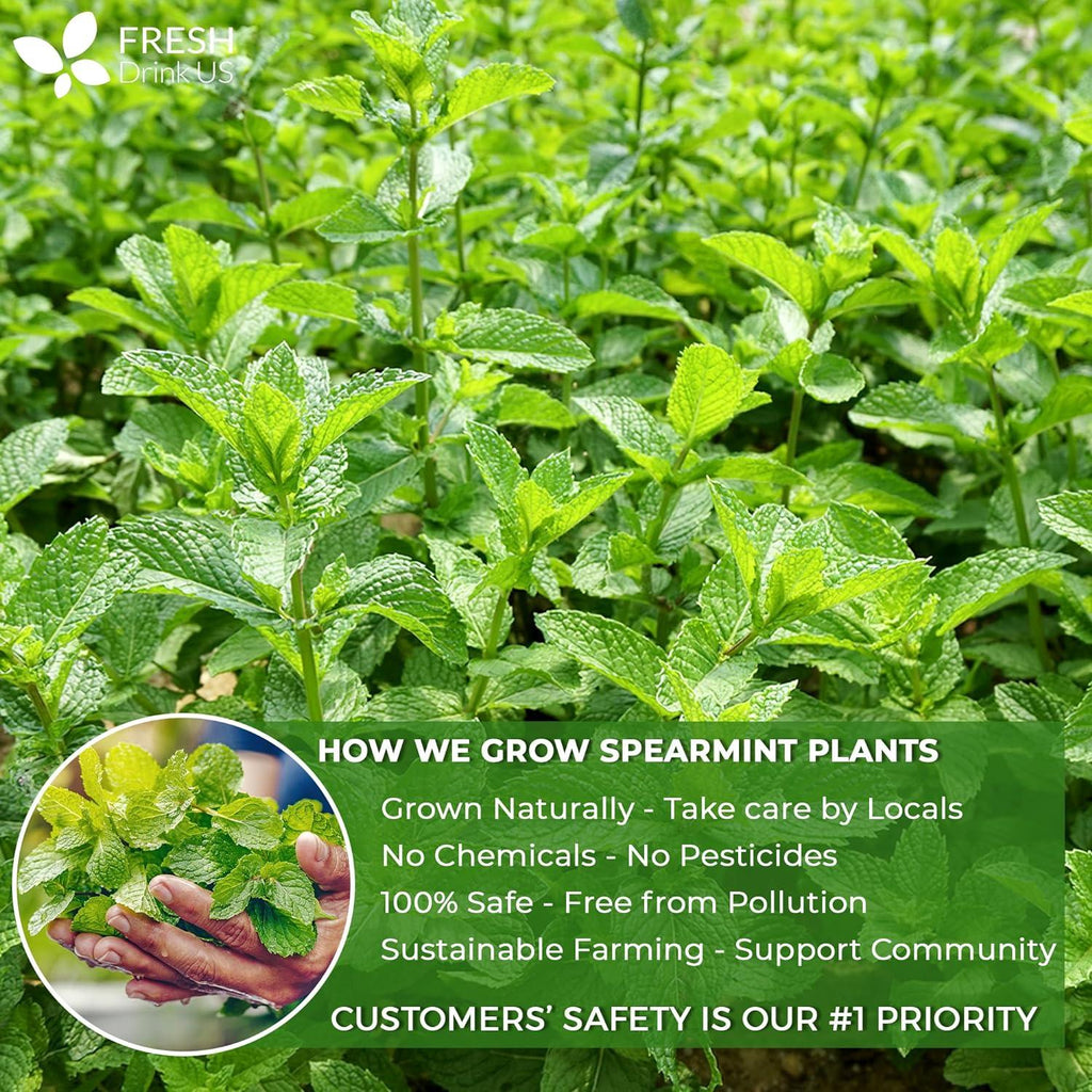 Spearmint Tea Bags, 100% Natural & Pure Spearmint Leaves. Loose Leaf Spearmint Herbal Tea. Spearmint Leaf Tea. No Sugar, No Caffeine, No Gluten, Vegan. | Tea | Wiccan Center