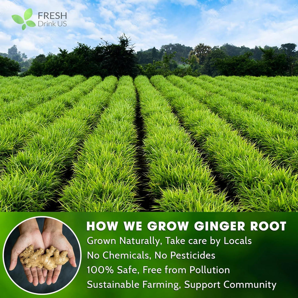 Premium Ginger Tea Bags, 100% Natural & Pure from Ginger Roots, Ginger Tea, Ginger Herbal Tea. Ginger Tea. No Sugar, No Caffeine, No Gluten, Vegan. | Tea | Wiccan Center