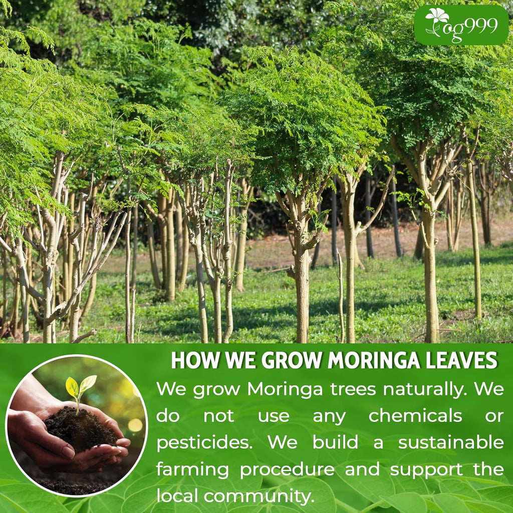 Premium Moringa Leaf Powder, 100% Natural and Pure from Moringa Leaves, No Additives, No Gluten, No Sugar, Vegan | Tea | Wiccan Center