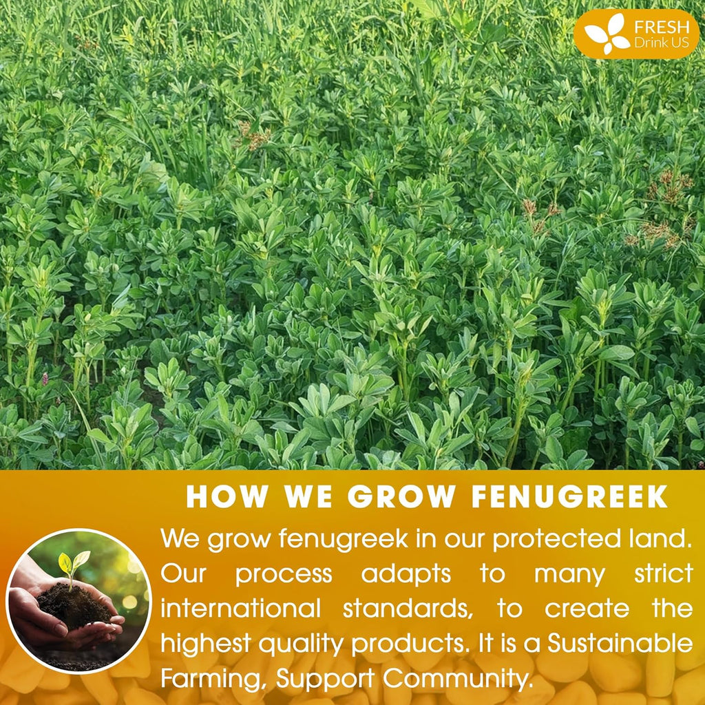 Premium Fenugreek Tea Bags. No Sugar, No Caffeine, No Gluten, Vegan. (30 Tea Bags) | Tea | Wiccan Center