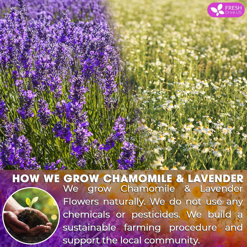 Premium Chamomile Lavender Tea Bags, Eco-conscious Tea Bags. No Sugar, No Caffeine, No Gluten, Vegan. | Tea | Wiccan Center