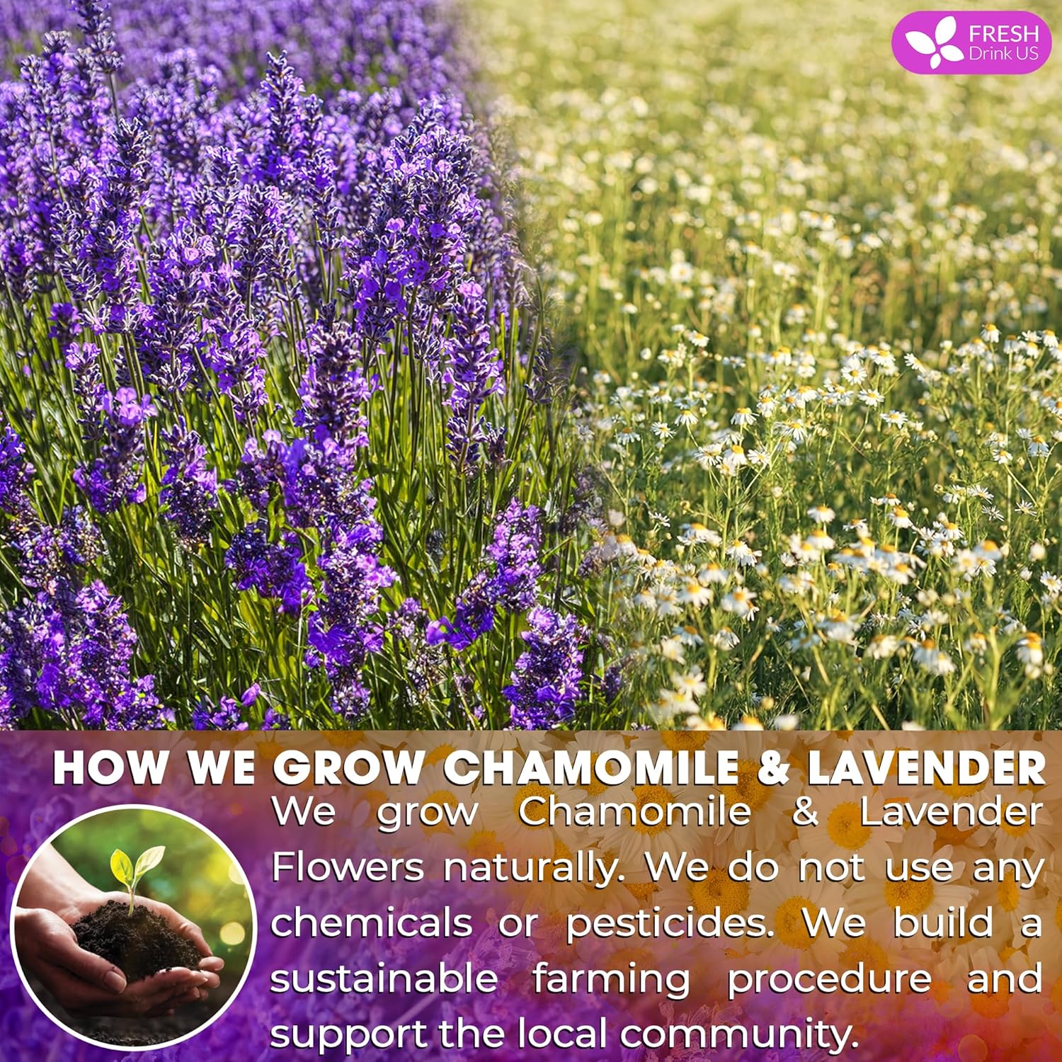 Premium Chamomile Lavender Tea Bags, Eco-conscious Tea Bags. No Sugar, No Caffeine, No Gluten, Vegan. | Tea | Wiccan Center