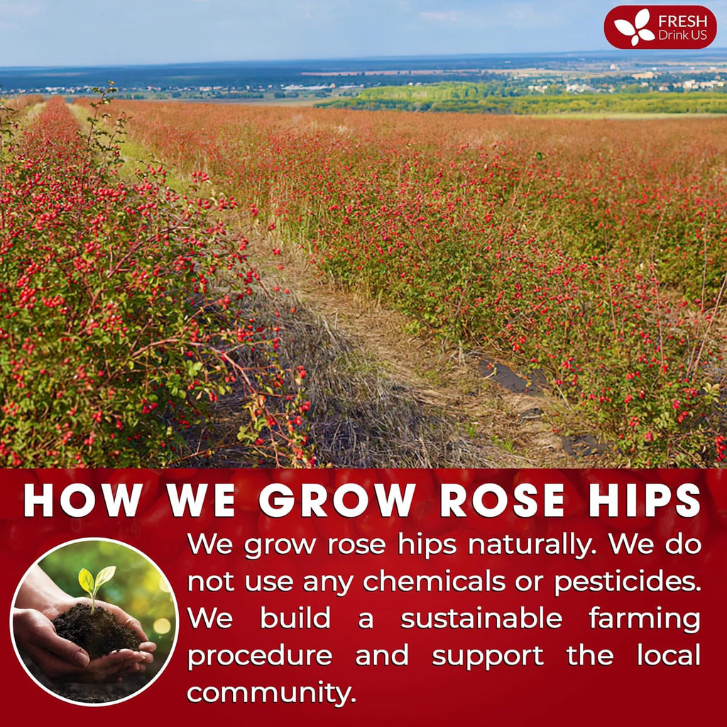 Premium Rosehip Tea Bags, 100% Natural & Pure from Rose Hip Fruits. | Tea | Wiccan Center