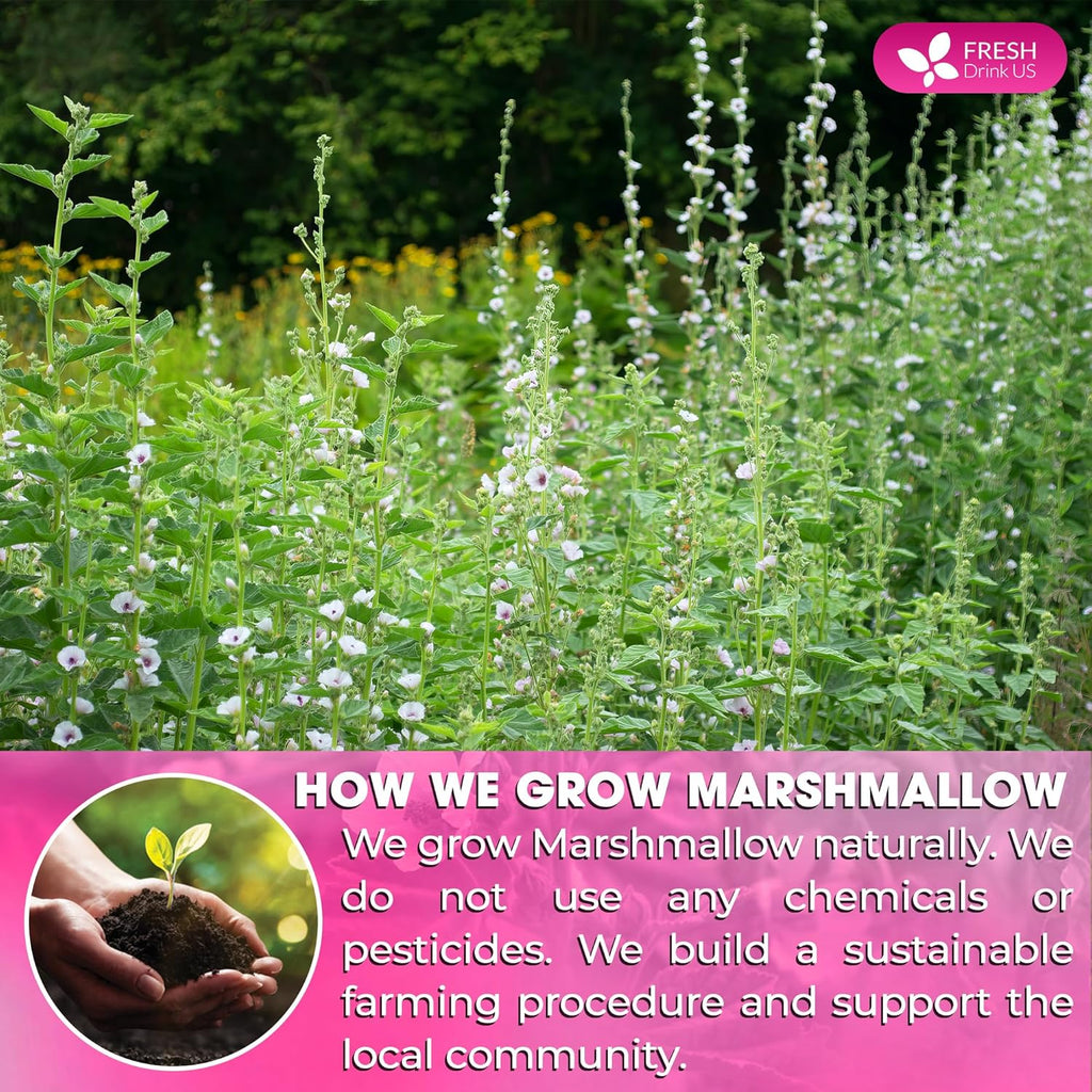 Premium Marshmallow Root and Leaf Tea Bags, 100% Natural & Pure. | Tea | Wiccan Center