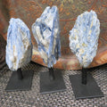 Blue Kyanite Cluster on Metal Stand