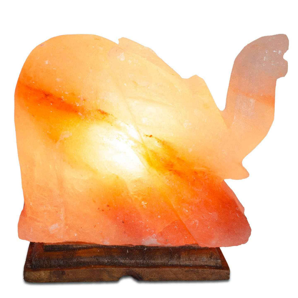 Elephant Shaped Salt Lamp - 9" avg. - Cord, Bulb, Dimmer | Lamp | Wiccan Center